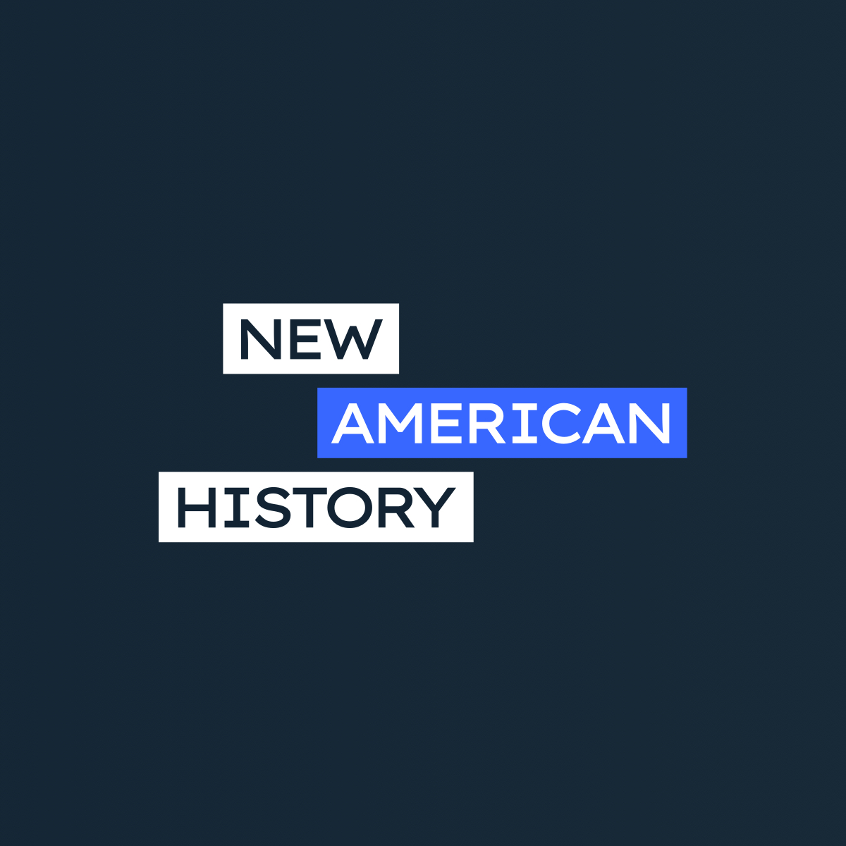 New American History Website
