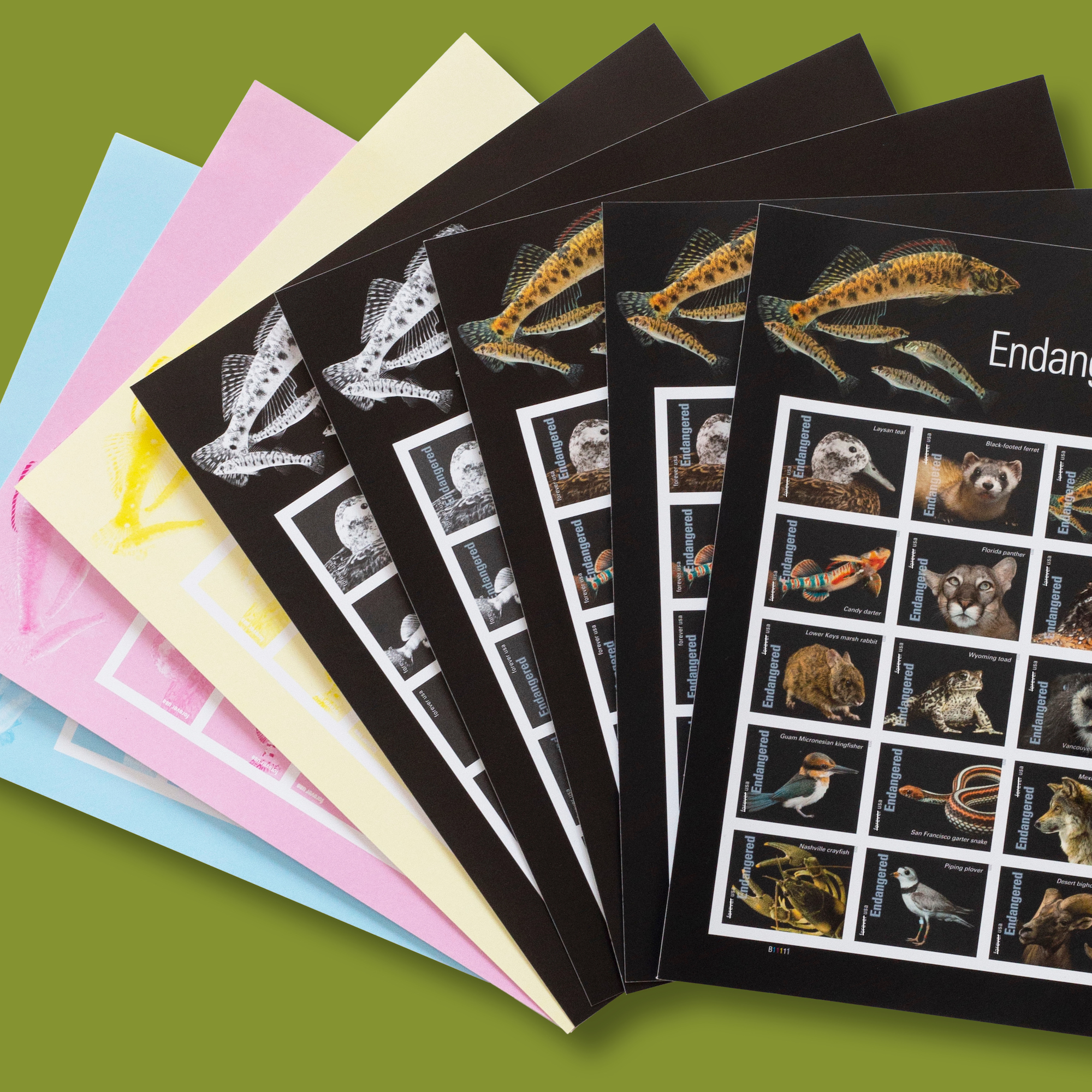 Endangered Species collector's set proofs