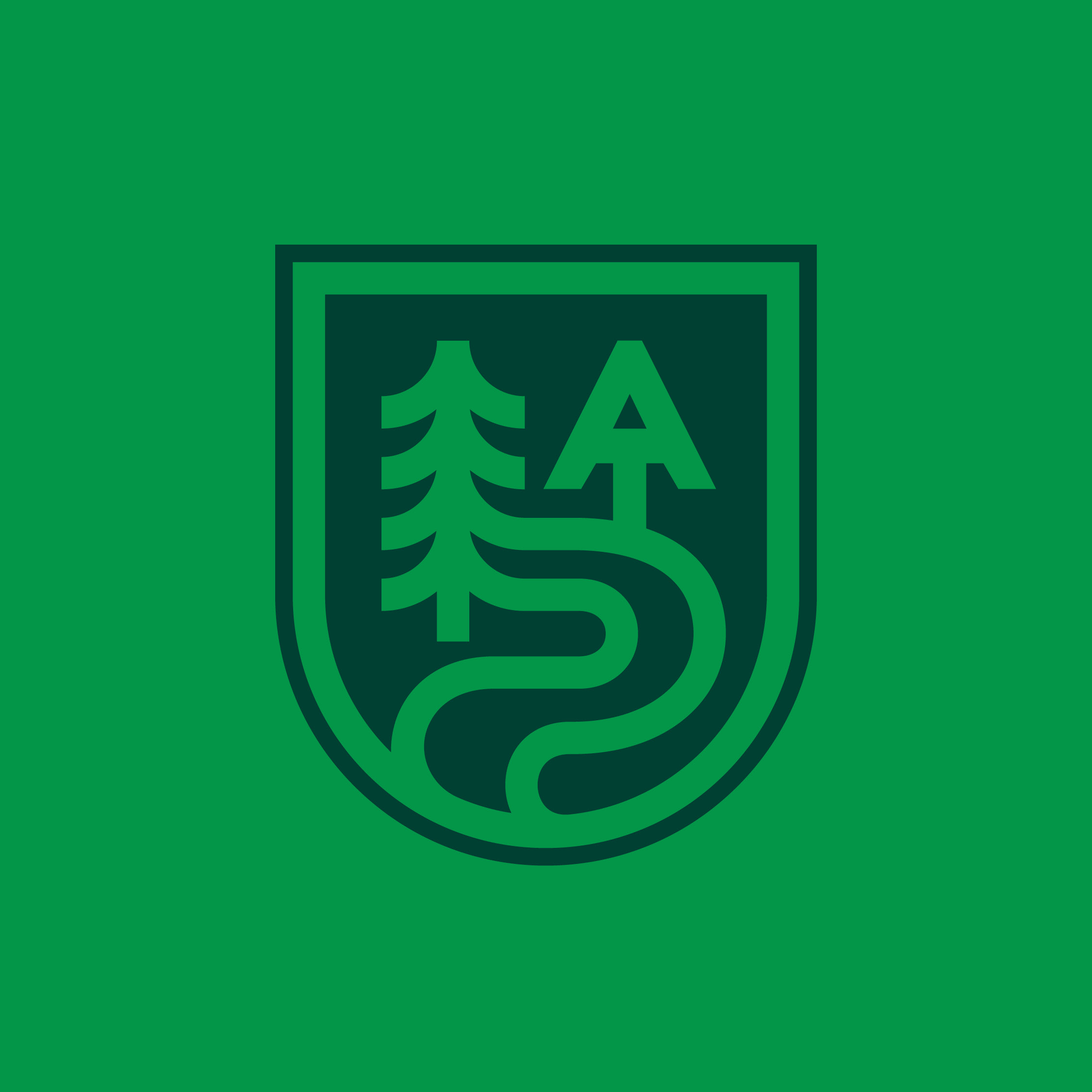 Appalachian Trail icon
