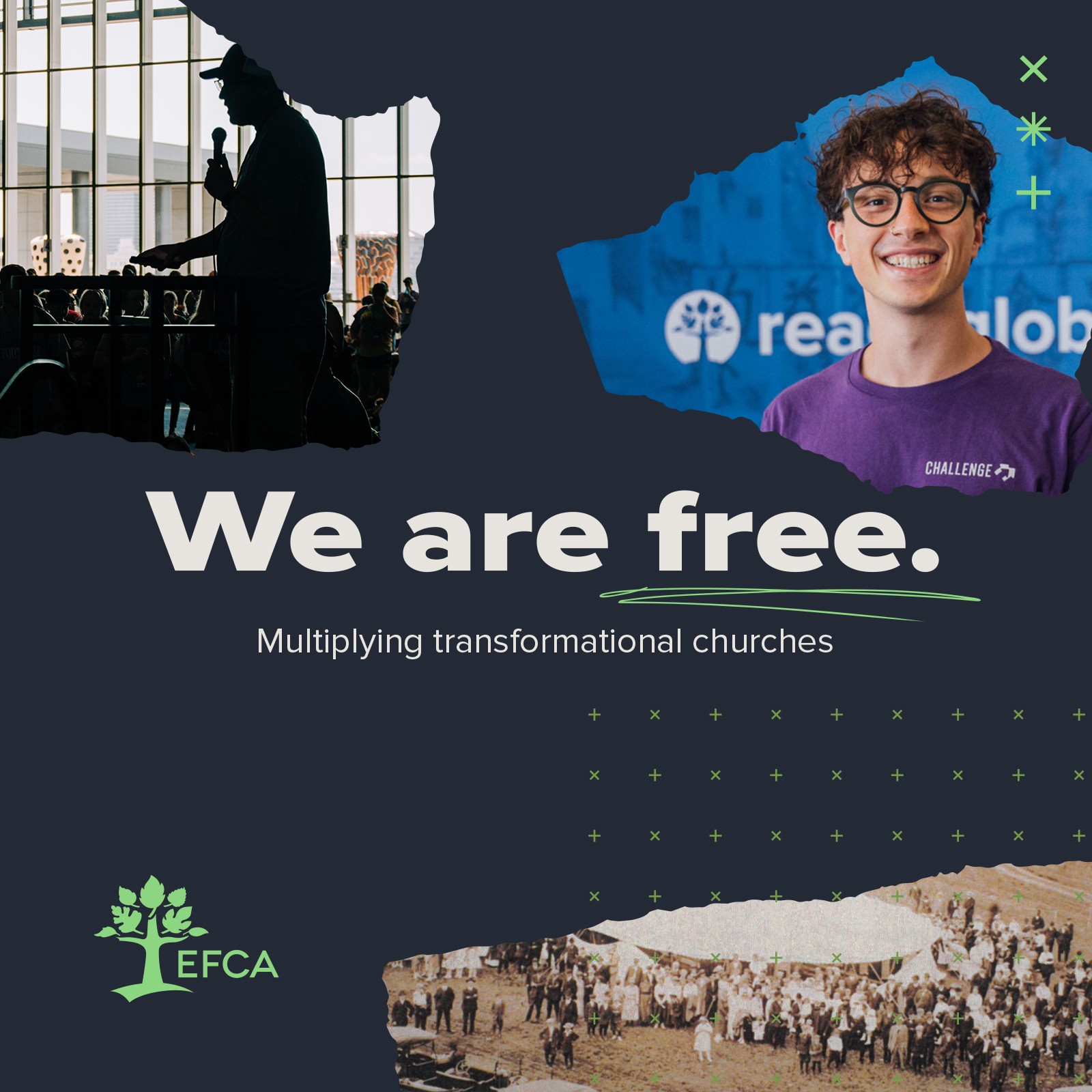 Brand composition with tagline "we are free"