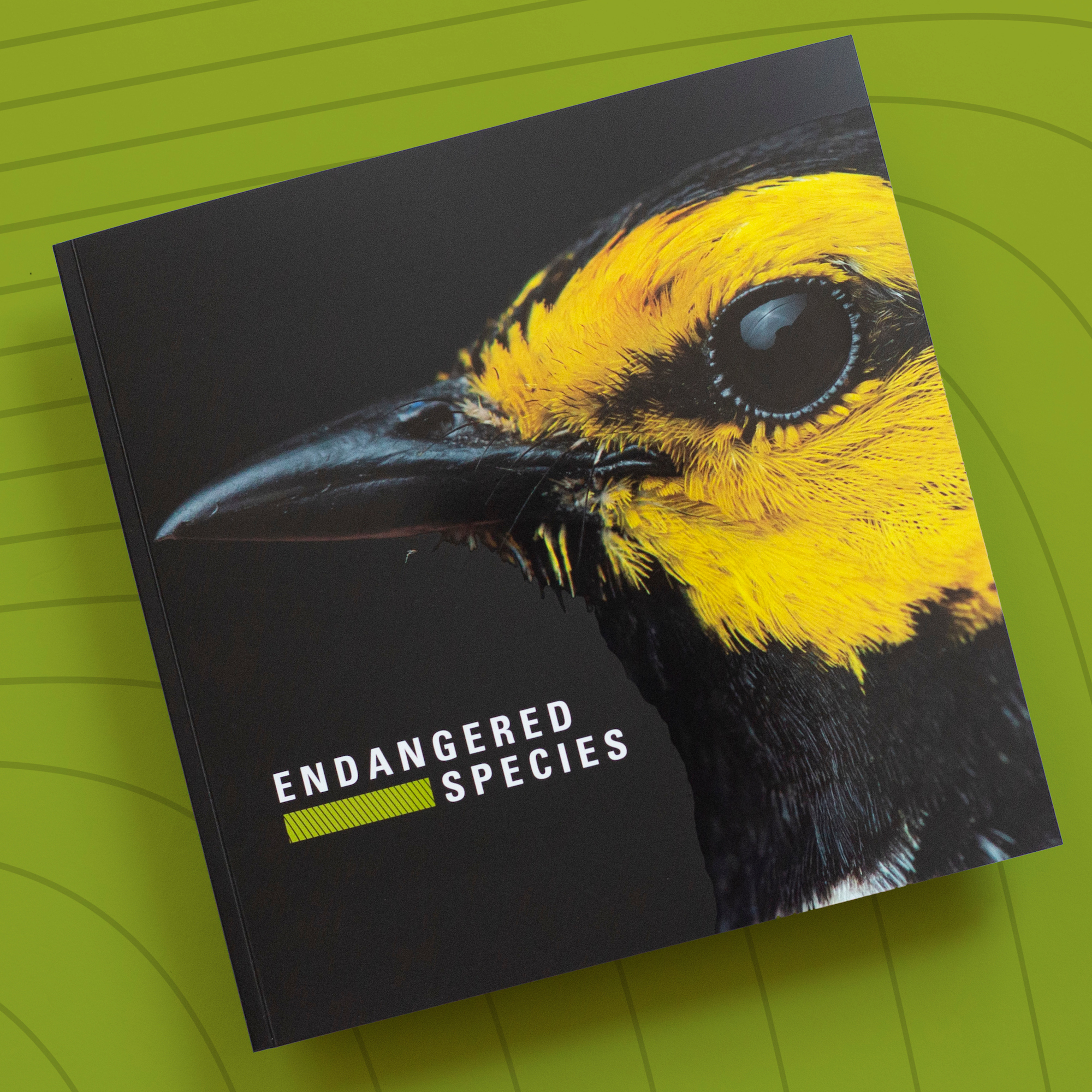 Endangered Species Limited Edition Collector’s Set